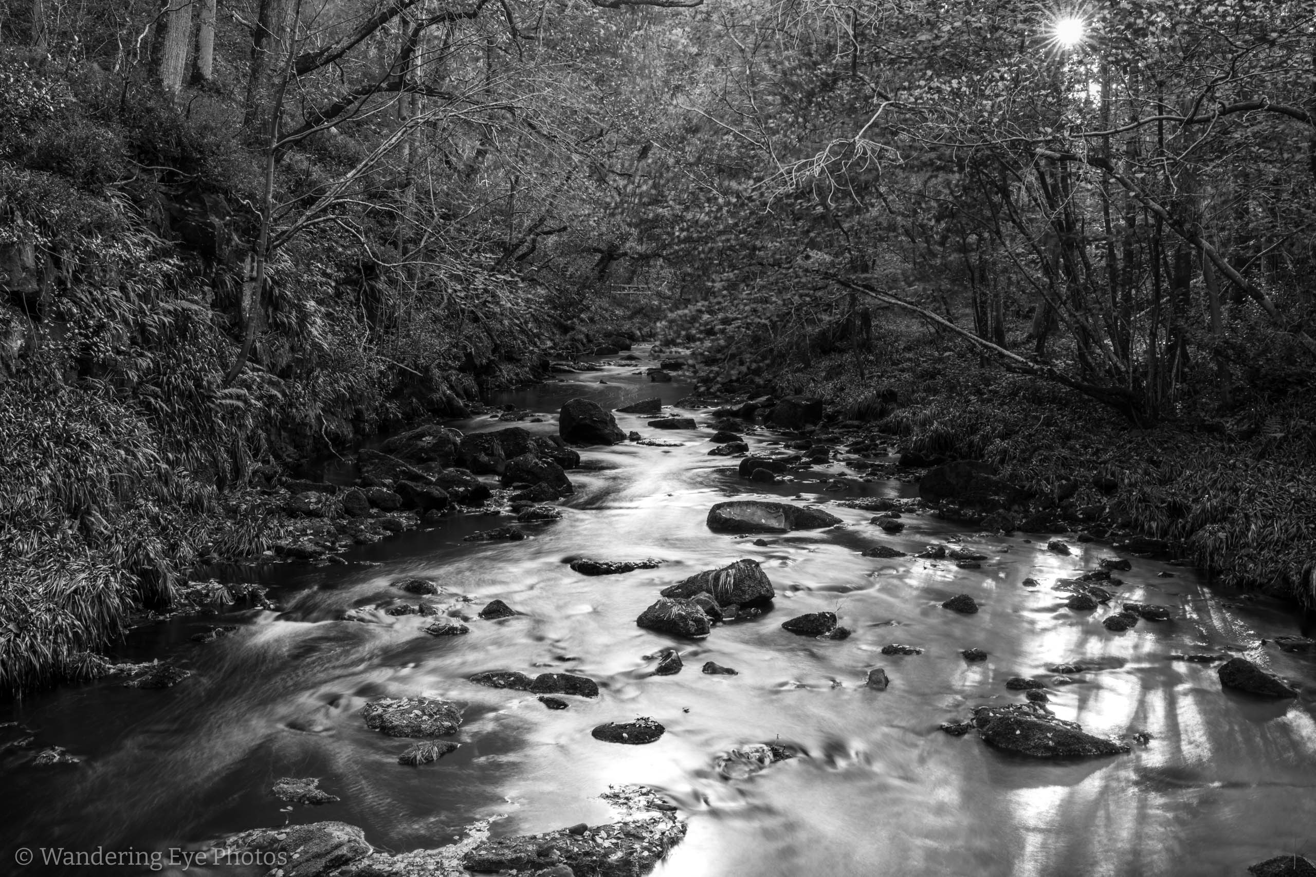 10.13 16.43.13   DSC08179